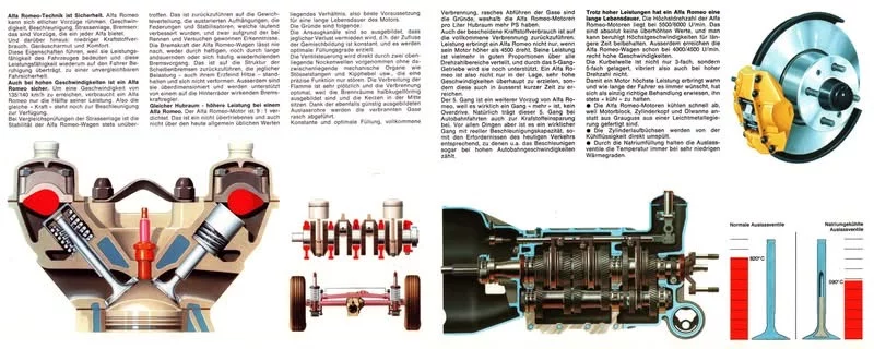 D44FAB45-0EDB-4A6E-9A00-275E93C4976E.webp