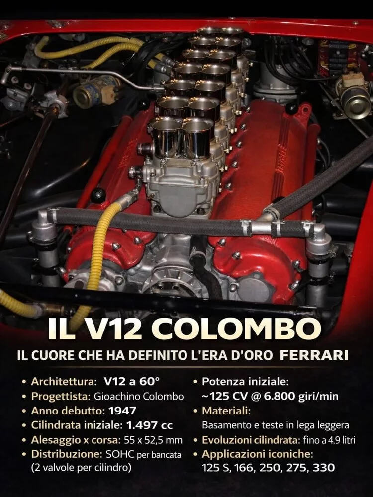 F36041F7-A332-49E8-8138-2A32EBB794F1.webp