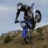 ZAPATA 147